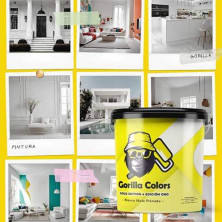 Pintura Plástica Mate Lavable Edición Oro Gorilla Colors. Protección Duradera para tus Paredes