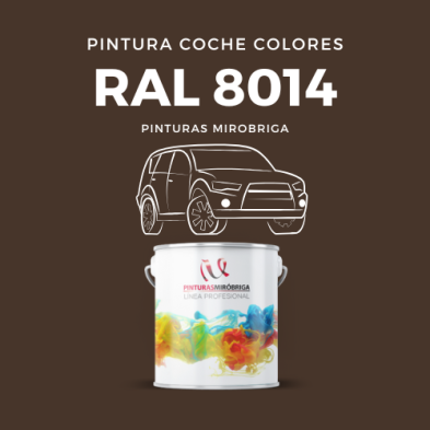 Pintura para el Ejercito Verde Caqui Barpimo y Catalizador