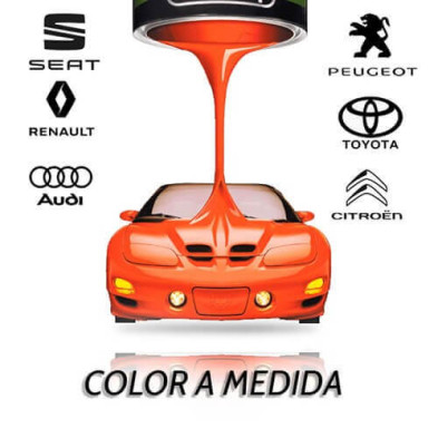 Pintura de Color a medida para Coche bicapa