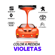 Pintura para Coche en colores Violetas Ral