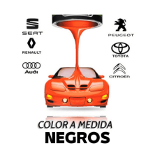 Pintura para Coche en colores Negros