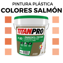 Pintura Plastica en Colores Salmon