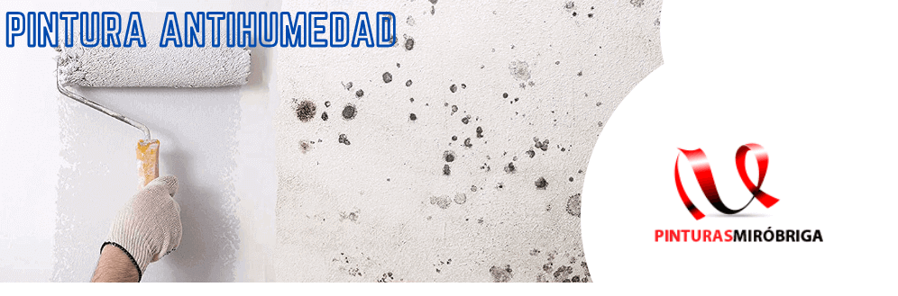 comprar-pintura-antihumedad